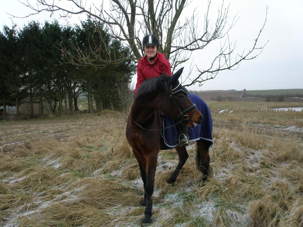 Fuldblod (XX) Stald-Bakkely's Tessa - 28-12-12 billede 11