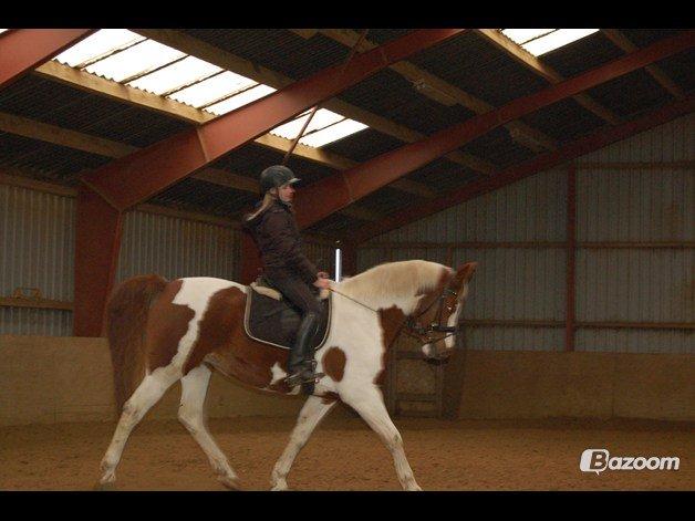 Pinto Dominique - En hest uden en rytter er stadig en hest.
Men en rytter uden en hest er bare et menneske <3 billede 6