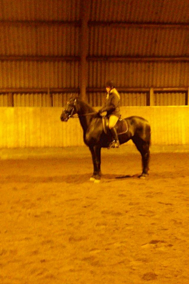 Frieser Tonia billede 3