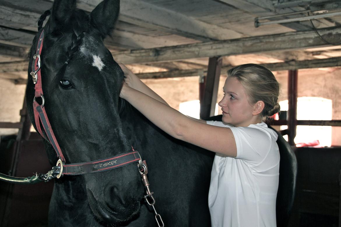 Frieser Tonia billede 4