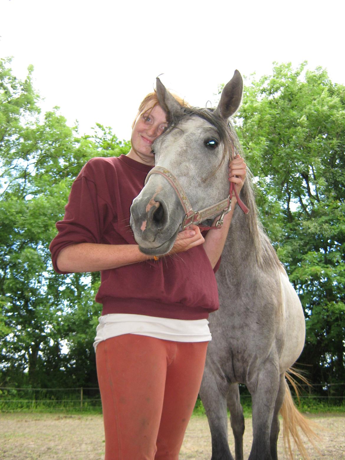 Anden særlig race India - Taget i 2010 billede 5