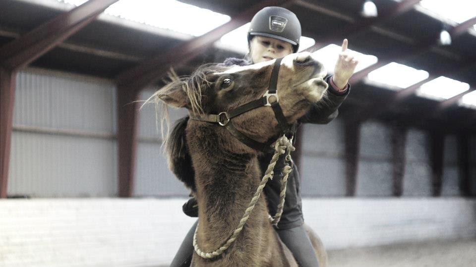 New Forest Staldbakkens Tic-Tacs - When life gives you 100 reasons to cry, find 1000 reasons to smile<3<3 billede 12