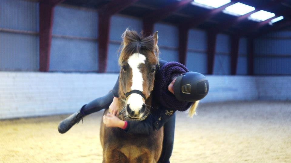 New Forest Staldbakkens Tic-Tacs - Dubetyder mere end alt i hele verden billede 13