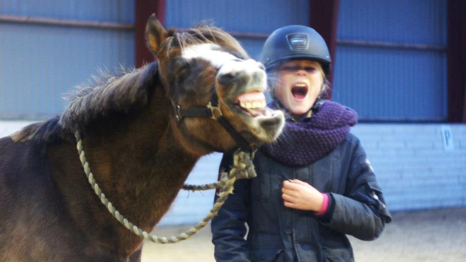 New Forest Staldbakkens Tic-Tacs - Gabe på kommando<3<3
Jeg elsker dig<3. billede 5