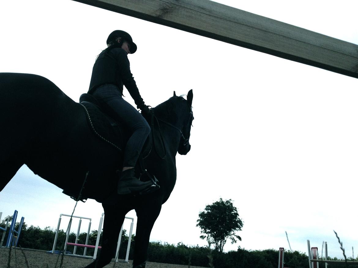 Frieser Tonia billede 9