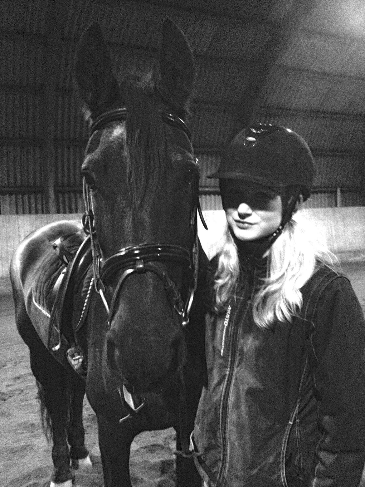 Frieser Tonia billede 10