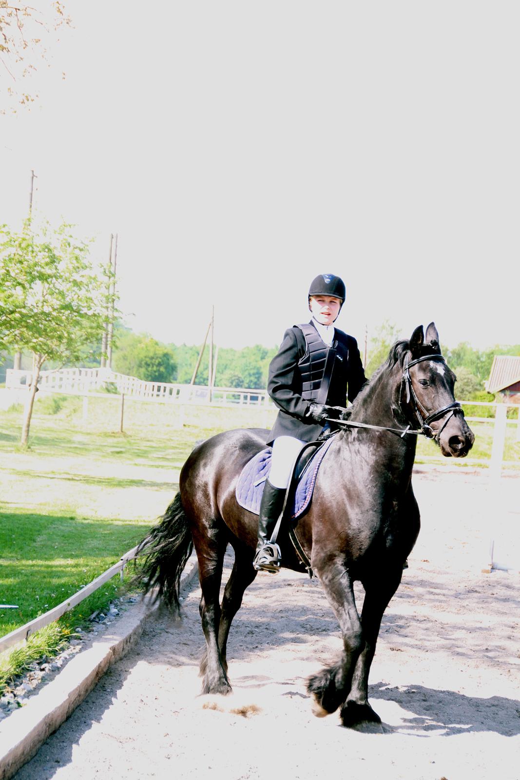 Frieser Tonia billede 12