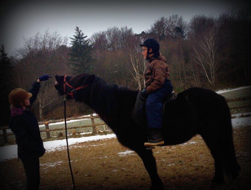 Islænder Thor (Mussi) - Mig og Thor der træner fra jorden, med Alex på ryggen :)  billede 2