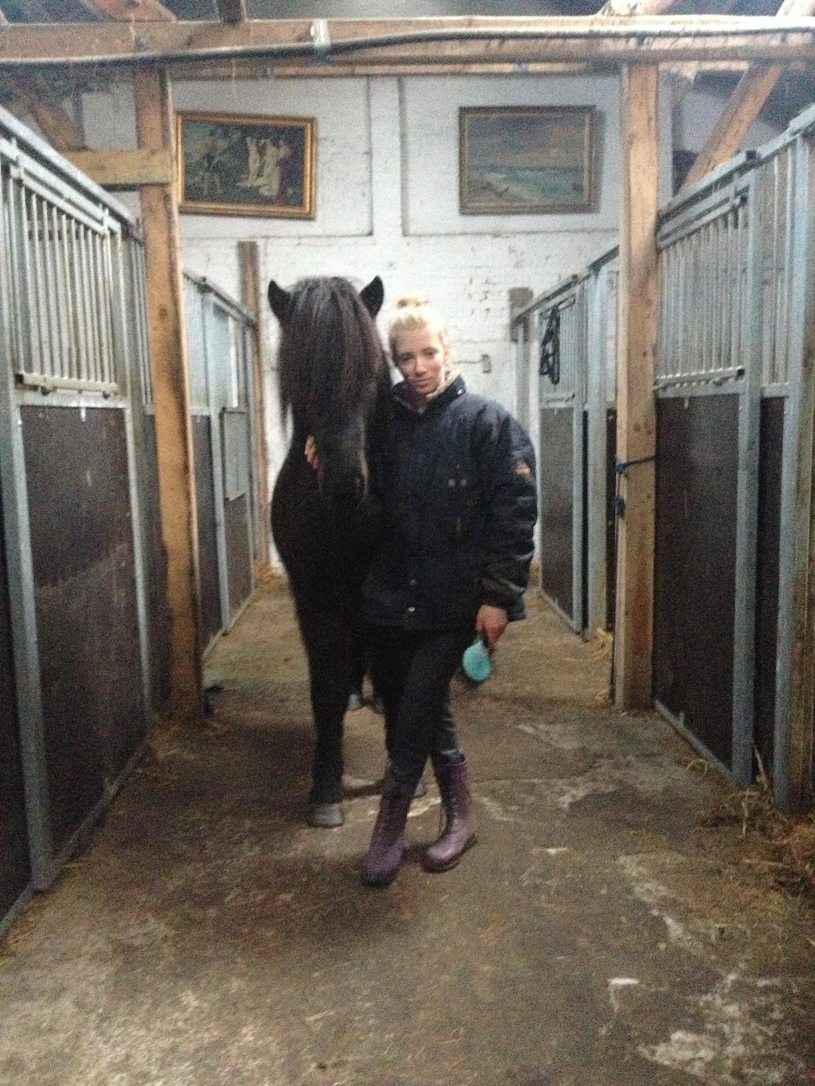 Islænder Thor (Mussi) - Mig og smukke-bassen :-* billede 15