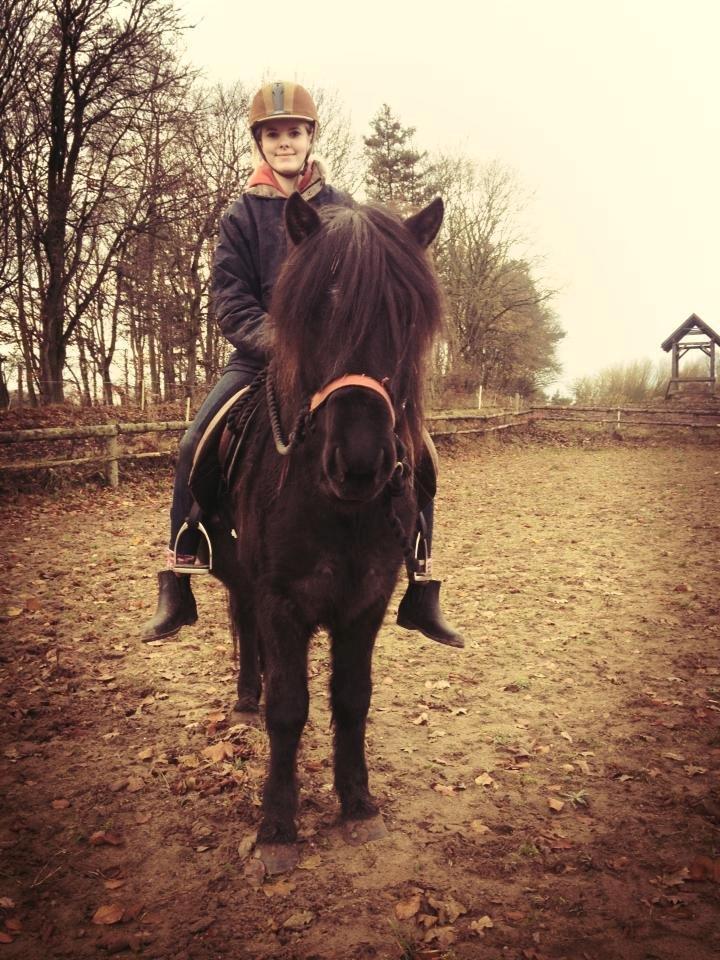 Islænder Thor (Mussi) - Pernille og Thor (1. gang med anden rytter) :P  billede 10