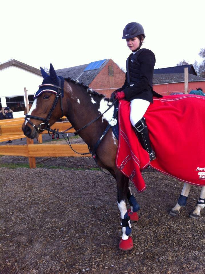 Pinto Secret Princess billede 11