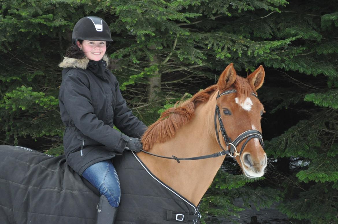 Anden særlig race Celina billede 1