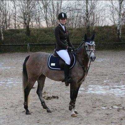 Arabisk fuldblod (OX) HM Magnifica [Maggie] - 27.12.12 <3 en stolt pony efter en super stævnedag billede 5