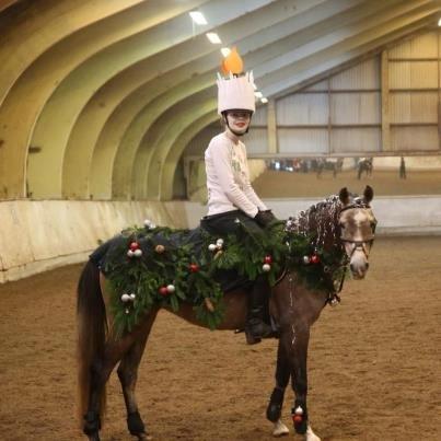 Arabisk fuldblod (OX) HM Magnifica [Maggie] - 15.12.12 <3 juleudklædning billede 9