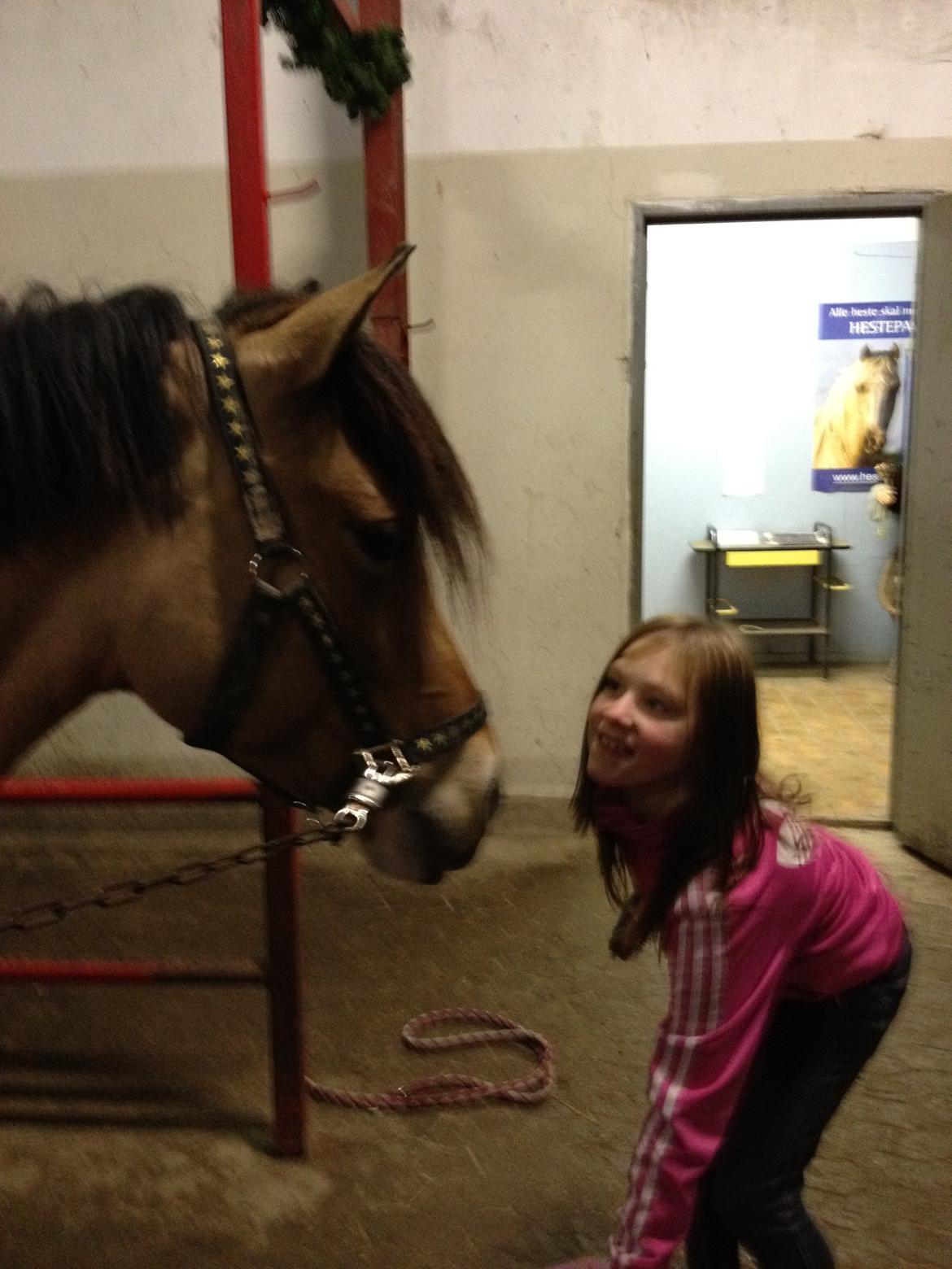 Anden særlig race Vanilla billede 1