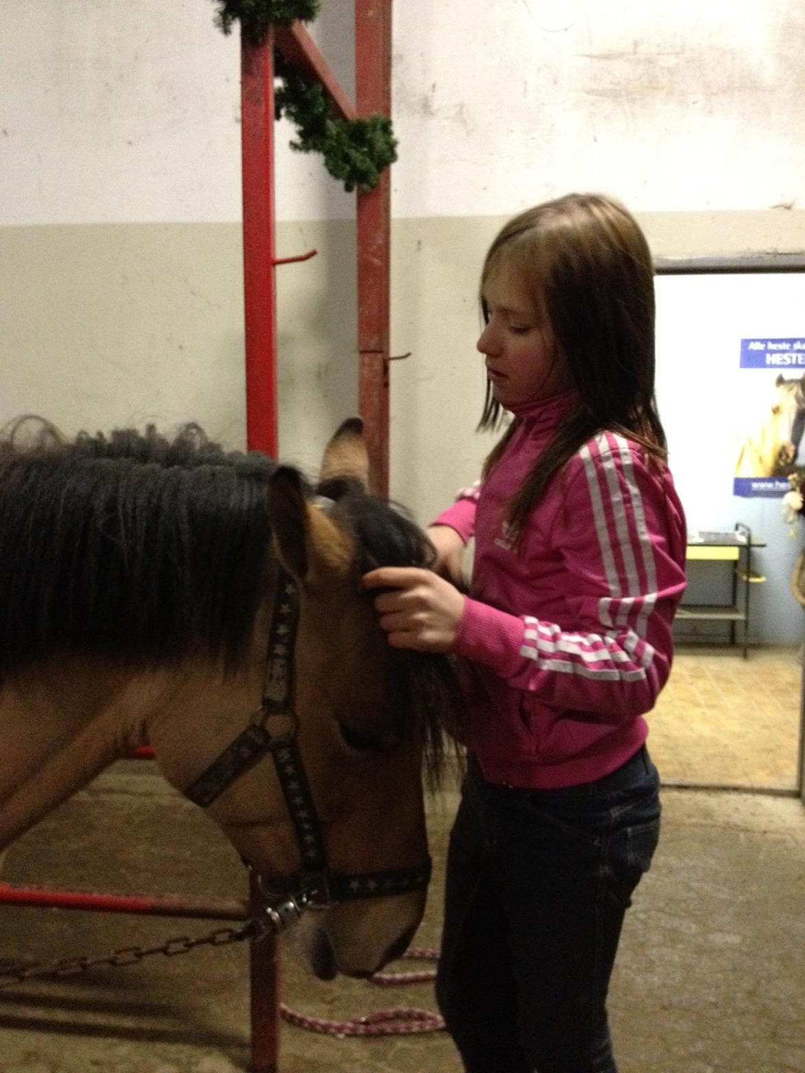 Anden særlig race Vanilla billede 2