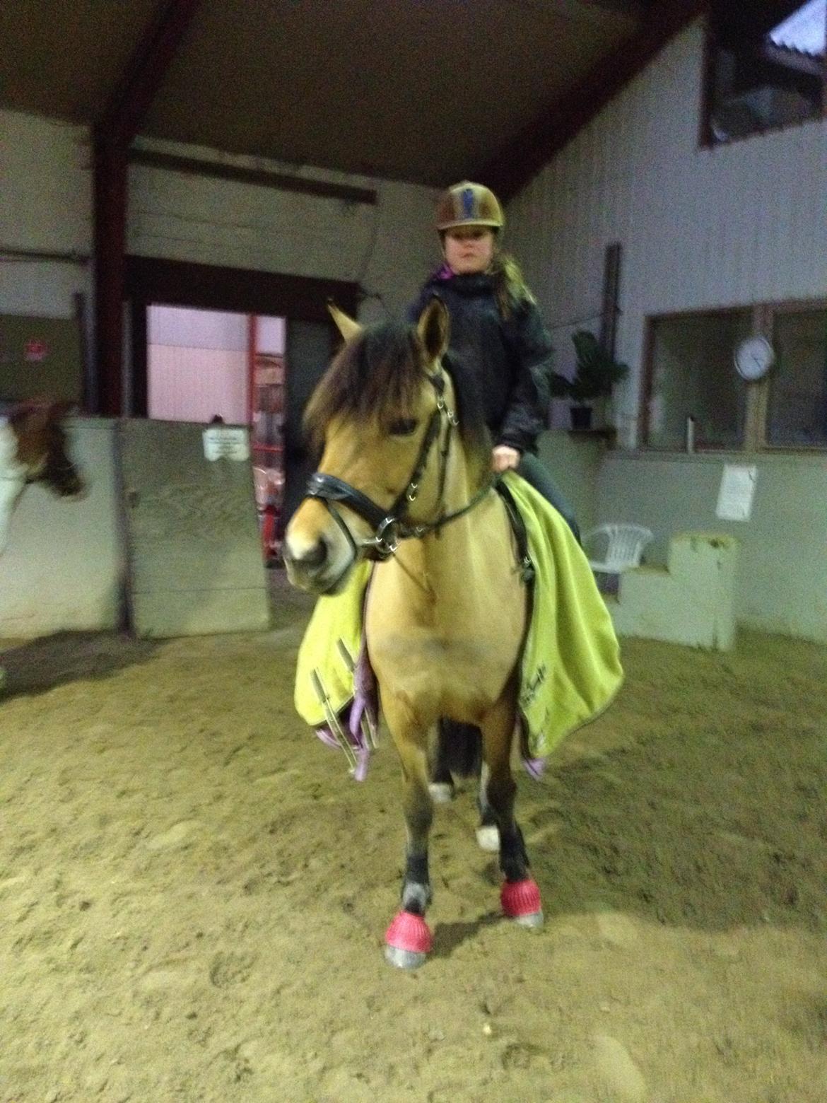 Anden særlig race Vanilla billede 4