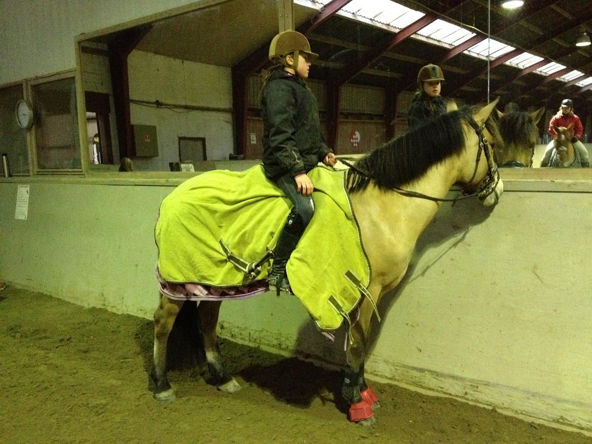 Anden særlig race Vanilla billede 5