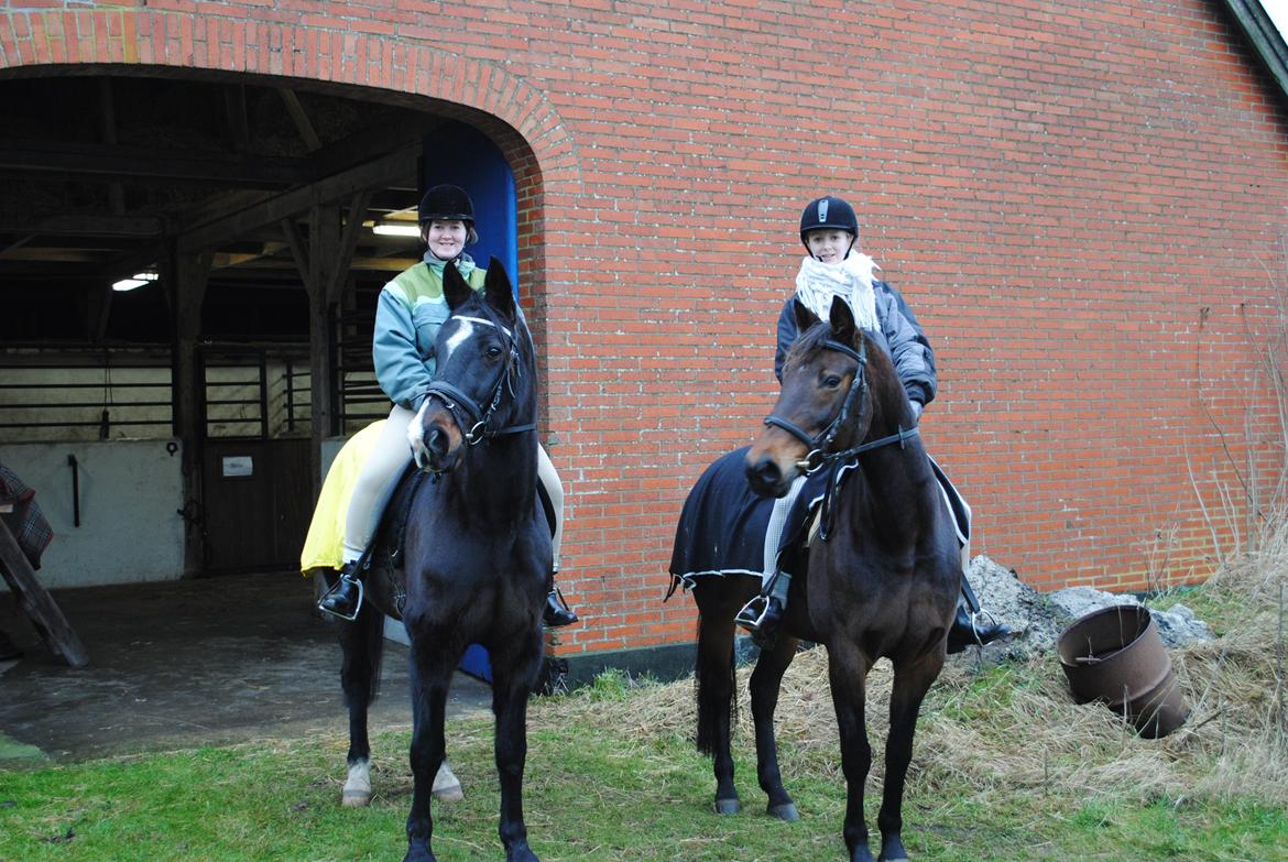 Traver Lavendel Safir - Afsted på tur med Donavan og Anne Sofie :) billede 10