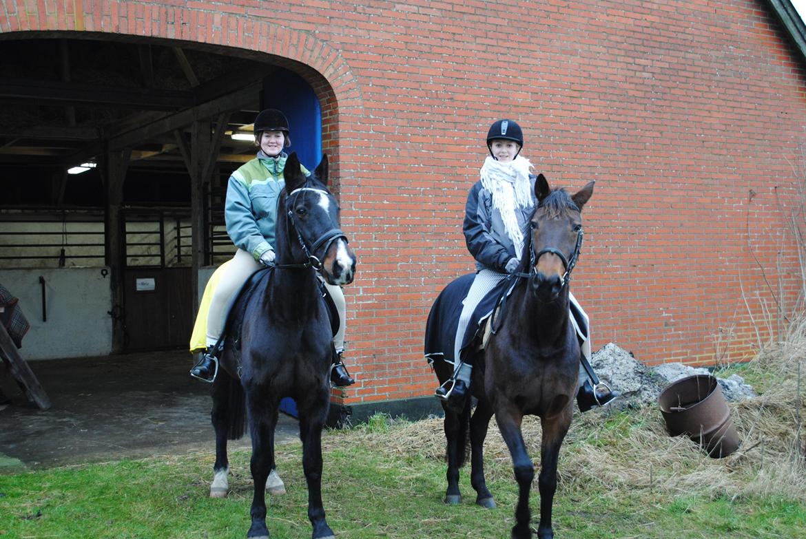 Traver Lavendel Safir billede 9