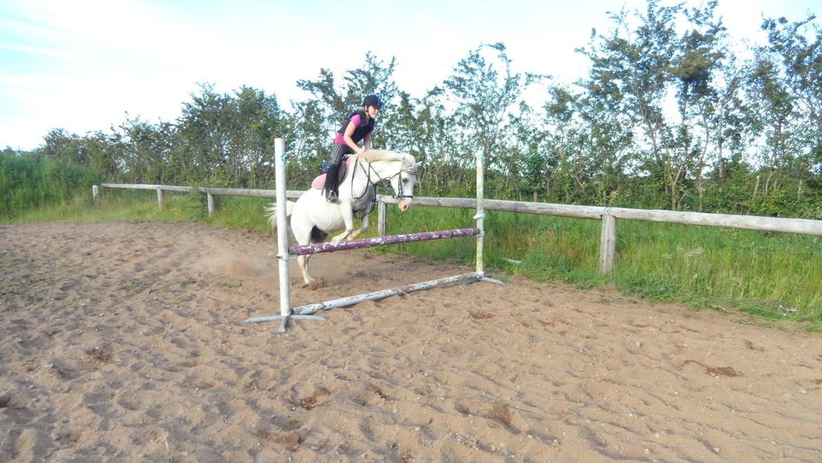 Anden særlig race Dixi *SOLGT* - 80 cm...
Du er så dejlig prinsesse. billede 7