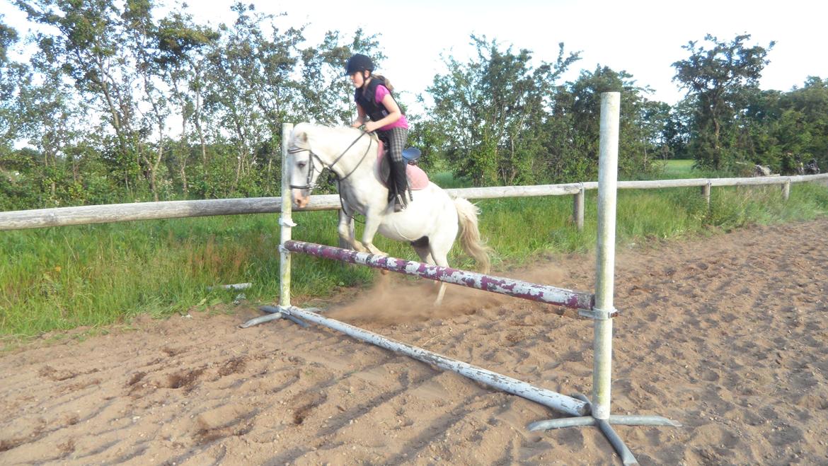 Anden særlig race Dixi *SOLGT* - 80 cm.
Det var det sidste spring, fra idag min lille mus billede 8