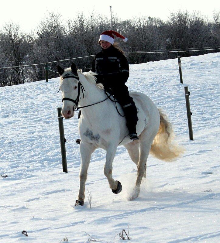 Paint Coup Matoska - Gallopere i sneen, på verdens bedste hest <3333 billede 5