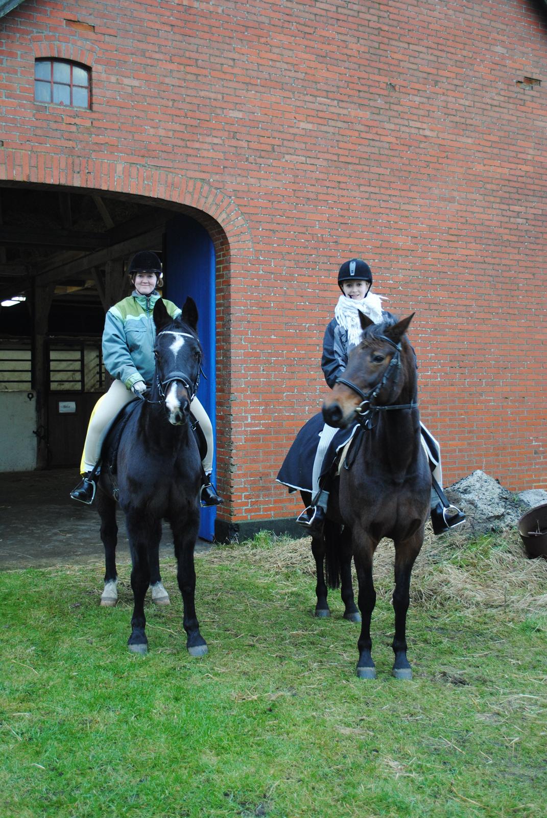 Traver Donavan Djess - Første tur. TH Stine og Safir. TV Anne Sofie og Donavan billede 3