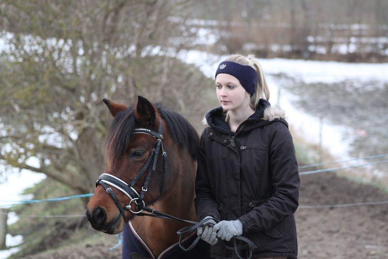 Anden særlig race Moonlight (Mulle) - Taget af Natascha Søgaard billede 6