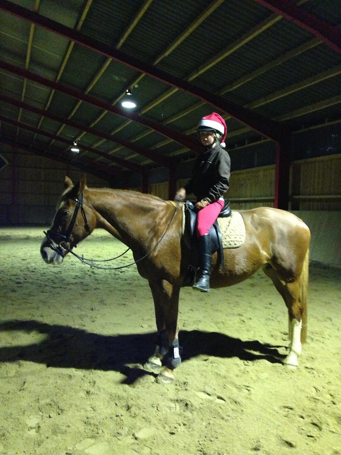 Dansk Varmblod Stenkærgårds Rubin  [Min Mors] - Ses du :) billede 15