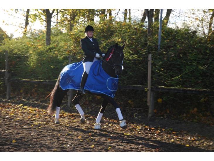 {{currentPhoto.altText}} billede {{currentPhoto.number}}