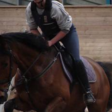 Anden særlig race Bertil