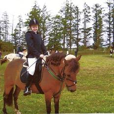 Anden særlig race Beauty . Solgt savn