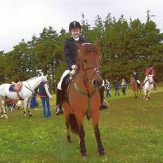 Anden særlig race Beauty . Solgt savn