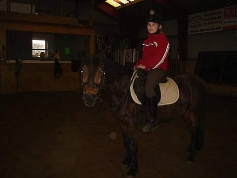 Welsh Pony (sec B) Rikke - Marina og Rikke!! billede 4