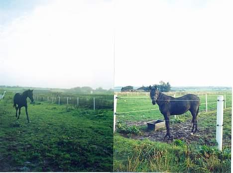 Traver Nostredamus Spirit - Fold 1-2 billede 13