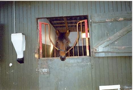 Traver Nickodemus Spirit - Boks billede 9