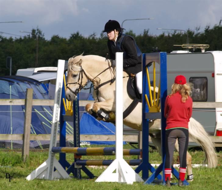 Anden særlig race Frederik - Fra Hammerum Ponyuge 07. Han var så dygtig! Her havde vi ikke sprunget i over et år.  Foto: Kimie Dehn billede 15