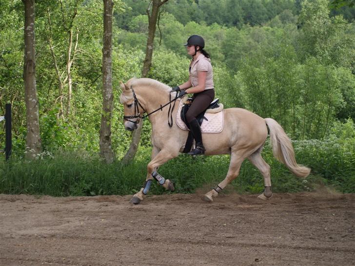 Anden særlig race Frederik - Frederik <3 Foto: Kimie Dehn billede 17