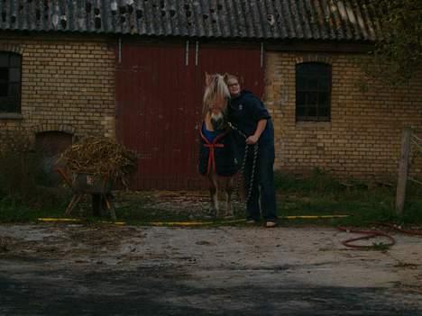 Anden særlig race  Richard Løvehjerte SOLGT - Så lille men et så stort hjerte... Min dejlige skat billede 11