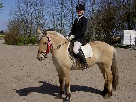 Fjordhest Heidi Træholt - Stævne i Ørting Sportsrideklub.. Vandt begge klasser: LC1 og LC3 :D Hun var bare super den dag... 21/4 07 billede 11