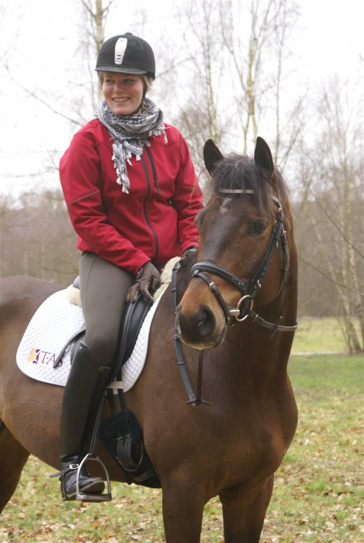 Trakehner Burberry - Mig og min Bubbibjørn!! billede 13