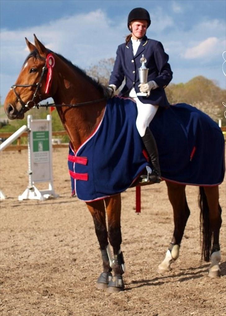 Dansk Varmblod Svalegårds Amasing - - Egnsmesterskab 2010 billede 5