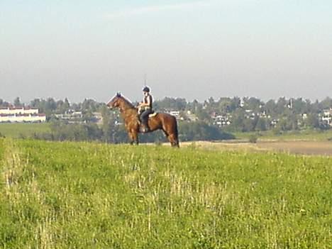 Fuldblod (XX) Aksaias (DØD) :( - Fik øje på nået (= Heeh .. Sommer (2006) billede 20