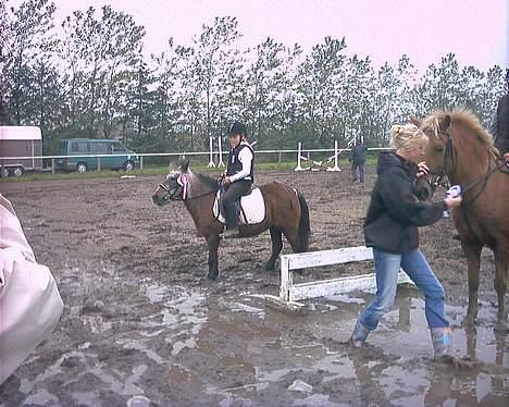 Shetlænder Lotte - Lotte og Linea har lige vundet en begynderspring- oktober 06 billede 1