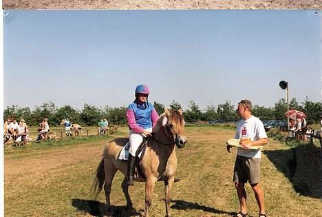 Fjordhest Jenni Mølbak - "Møller" er lige blevet nr. 3 i ponygalopløb :-) billede 11