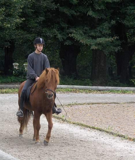 Islænder Ofeigur - Er vi ikke Søde? . Det var vores første Svævne! <333 billede 3