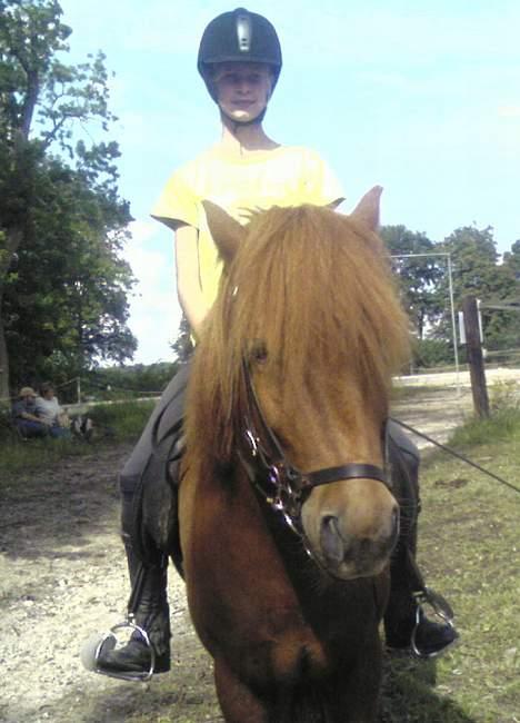 Islænder Ofeigur - Vi står lige udenfor Banen <33 billede 6