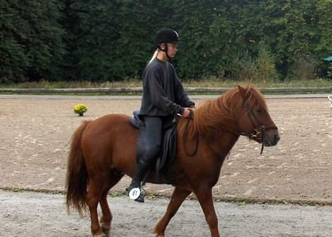 Islænder Ofeigur - Vi er Inde på Banen & Det går SUPER!<33 billede 7