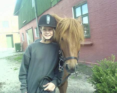 Islænder Ofeigur - vi er stolte af vores Resultat! <3 billede 8